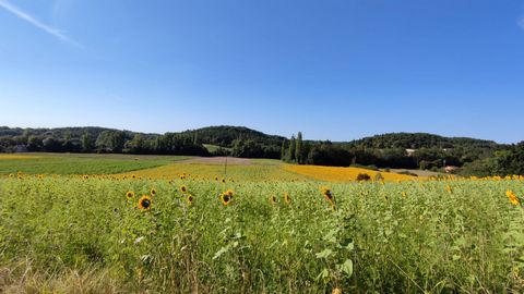 Un terrain contrustible viabilisé de 1747 m2 Un terrain constructible viabilisés de 2554 m2 Expostion sud jolie vue dominante à 10 min de Montcuq à 20 min de Cahors Prix 20 000 € FAI pour chaque terrain