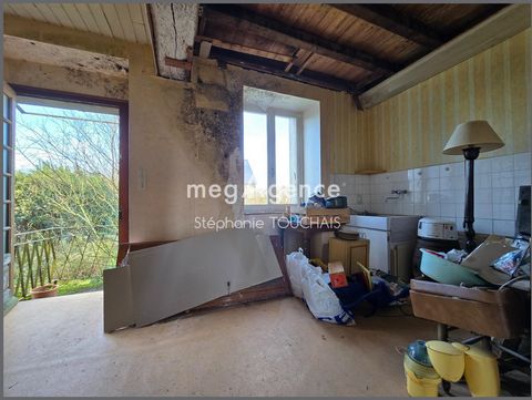photo no. 11