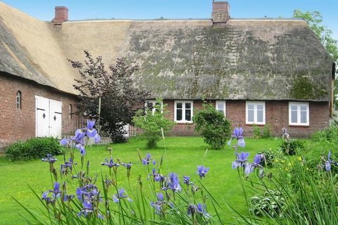 De bittere charme van Noord-Friesland gecombineerd met een stijlvolle spa-sfeer maken uw vakantie in het monumentale huis met rieten dak tot een onvergelijkbare ervaring. Als u iets bijzonders op prijs stelt, zal het historische ensemble van de Großw...