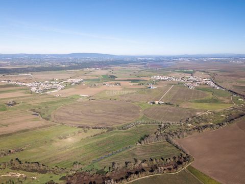 Quinta do Meirinho, ein Anwesen mit 107 Hektar, davon 105 Hektar für die landwirtschaftliche Produktion, in der Gemeinde Golegã, in Azinhaga, dem am meisten Ribatejo gelegenen Dorf Portugals. Der Boden, der aus altem und neuem Schwemmland besteht, ma...