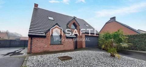 INDIVIDUELLE BRIQUES