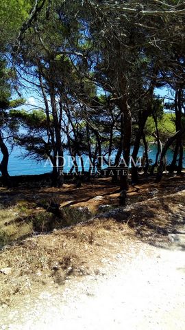 Agricultural land for sale, 100 m from the sea, Brač - Splitska, PROPERTY DESCRIPTION: Beautiful plot of regular shape and on a slight slope! 100 m from the sea, surrounded by pine forest! It is regular and rectangular in shape. In the immediate vici...