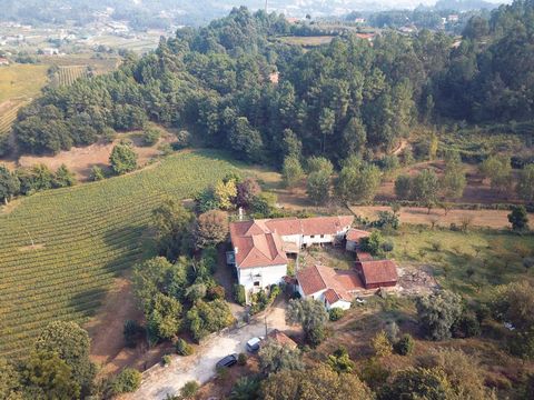 Quinta da Longra is a property with 171,684 m2 located in the parish of Telões municipality of Amarante in the middle of the Romantic Route and inserted in the demarcated region of Vinhos Verdes. This property with its own access to the properties, i...