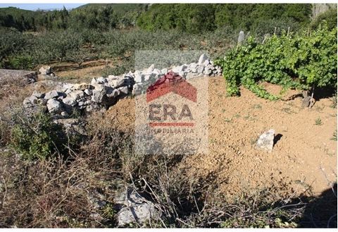 Land with good sun exposure, great views over the mountains and countryside 15 min. of Lourinhã. *The information provided is informational, non-binding only, and does not provide consultation with the mediator. #ref:130130360