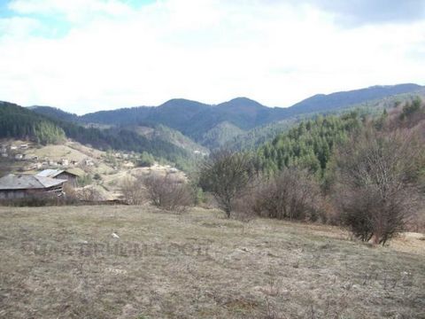 TEL.: ... ;0301 69999/WIR BIETEN IHNEN ZUM VERKAUF EIN PANORAMAGRUNDSTÜCK IM SCHÖNEN RHODOPENDORF POLK.SERAFIMOVO. DIE LAGE IST SEHR NAH AM STRAND. VON SMOLYAN, 25 KM. VON PAMPOROVO UND 120 KM. VON DEN SCHÖNEN STRÄNDEN DES BENACHBARTEN GRIECHENLANDS.