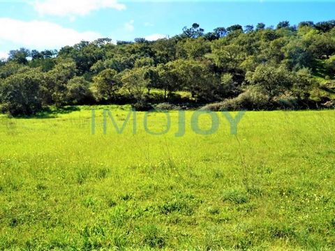Rustic land with 54160 m2, in barão de S. Miguel, with good access by rural road, not buildable but quite fertile, with great potential for agricultural production. Currently it contains more than 100 rose companies, some in full production and other...
