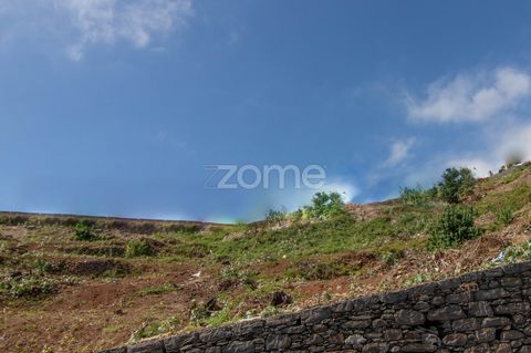 Property ID: ZMPT551126 Land with 6000m2 located in the Immaculate Heart Mary. This land has two road fronts, with great sea view and the city of Funchal. Ideal for building a fantastic enterprise. Take this opportunity. Contact us. 3 reasons to buy ...