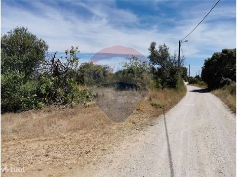 Agricultural land of 11,800 m2, located in Valhelhas, five minutes from the city, with good access and proximity to water and electricity infrastructures, very close to the well-known Quinta dos ingleses and the Symphonic Choir of Portugal. According...