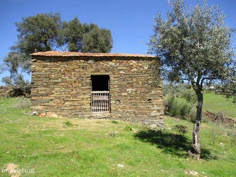 Farm with 9000m2, with olive trees, fig trees, orange trees and rose farms, a well and a rural construction with 30.36m2 with urban article with warehouse affectation. Good access on dirt. Electricity and water from the nearby company.
