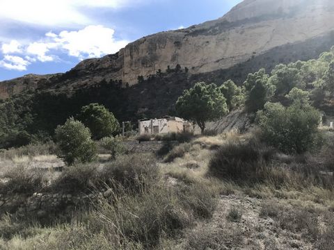 Particularly impressive finca on a plot of 17000m2 This finca consists of a small casita of approximately 25m2 and is located in a beautiful spot in the middle of mountains and nature The house needs to be renovated in the dimensions as it is now Exp...