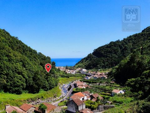 Large rustic land with 25,605 m2 of total area, composed almost entirely of completely wooded forest, from acacia trees, cryptomeria and several chestnut trees, located in the parish of Faial da Terra, municipality of Povoação, São Miguel Island, Azo...