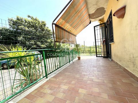 A few km from Calcata, in the municipality of Faleria, a characteristic municipality in the province of Viterbo, we offer for sale a ground floor apartment on two levels overlooking the first floor. The apartment is accessed from a common garden, ins...