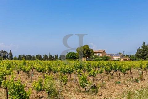SAINTE CECILE LES VIGNES- EXCLUSIVE In the heart of the vineyards, close to the charming village of Sainte Cecile les Vignes, come and discover this charming wine-growing estate of over 18 hectares. This estate offers a magnificent villa with a livin...