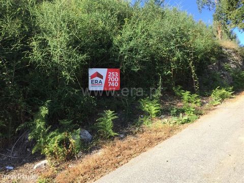 Set of Lands with approx. 28.430m2, Near the City, Good Access, Good Sun Exposure Excluded from the SCE, under Article 4 of Decree-Law No. 118/2013 of 20 August.