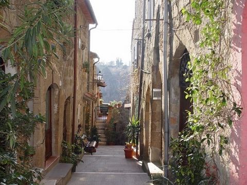 This Tuscan house is a truly unique opportunity. Located on a quiet street of the historic town of Pitigliano. On entering one is immediately delighted by the quaint spaces spread over two storeys. Built into the tufo rock on which the town so famous...