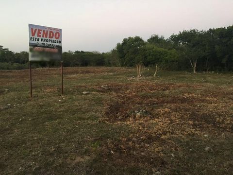 Land for sale in Ramón Santana, near the Playa Nueva Romana hotel project and the Bahia Principe Hotel. Ask for other land in the same location!  