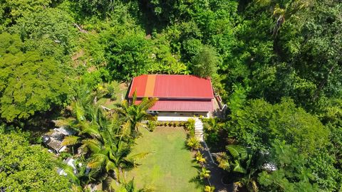 Esta instalação única está localizada no meio da natureza, cercada por imensas árvores e muitas palmeiras que dão uma sensação muito tropical a esta área. A construção foi concluída em novembro de 2023. Apenas a cerca de 3 minutos de carro da praia m...