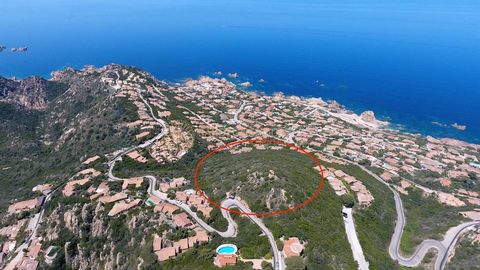 COSTA PARADISO (CPA-P2 code) 20,000 m2 residential building land with sea view. The land is located in a central position and very close to the main services present in Costa Paradiso, about 500 meters from the sea. The land is easily accessible from...