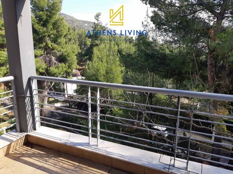 A wonderful minimal, smart home, in a green landscape. Maisonette For sale, floor: Ground floor, 1st, 2nd (3 Levels), in Dionisos - Center. The Maisonette is 540 sq.m. and it is located on a plot of 800 sq.m.. It consists of: 5 bedrooms (1 Master), 4...