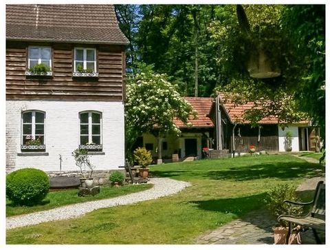 The apartment is quiet and in a great location directly on forest and meadows in the middle of the Teutoburg Forest / Eggebirge nature reserve. Hiking trails - Vidaduct hiking trail, panorama path, Hermannhöhen, etc.) run directly at the house. Ideal...