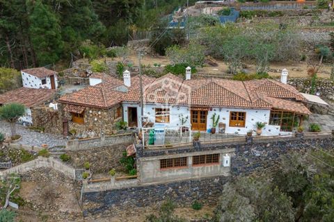 Exclusively for sale! This property is a real gem, secluded in the area of Llanito Perera in Icod de Los Vinos, which gives it a lot of privacy. From the first step through the wide entrance to the finca you feel like you are in a natural paradise. I...