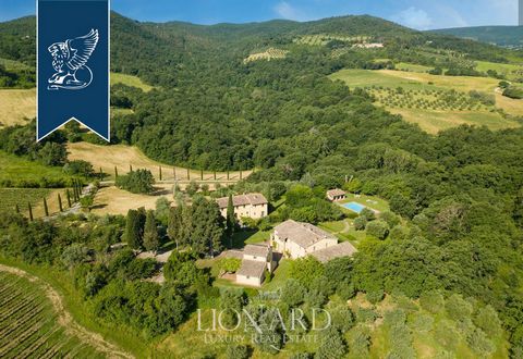This splendid luxury farm for sale in the province of Siena measures 1,300 sqm and offers 150,000 sqm of grounds. The estate is made up of three properties: the main villa, a villa with an old oven, and a small cottage, for a total of 10 bedrooms and...