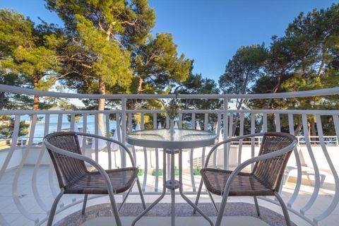 Sale is currently on hold, as hotel is rented for 2 years. Amazing boutique hotel on the seafront on the island of Krk, which is connected by a bridge to the mainland! Located about a kilometer from the city center in a quiet green place in a pine fo...