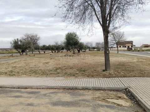 ¿Estás buscando un suelo en Burguillos de Toledo? Parcela urbana perteneciente al Programa de Actualización Urbanizadora Las Nieves de Burguillos