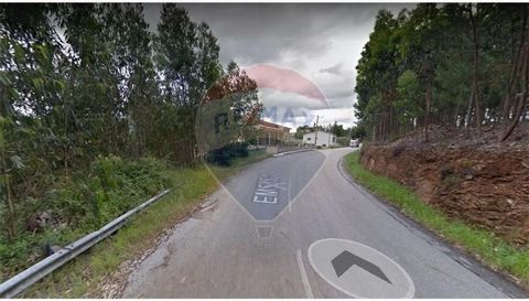 Land for construction in Sernelha , Figueira de Lorvão. The land has already had a project approved in the Chamber of Penacova, The project will have to be reconsidered in the House and can build. Situated in a quiet area Take the opportunity
