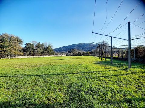 Magnificent land, with an area of 4349m2, divided in a front of about 40m and a bottom of more than 110m. This land has a construction rate of 15%, enabling the most diverse construction projects that its owner intends to implement, in houses up to 3...