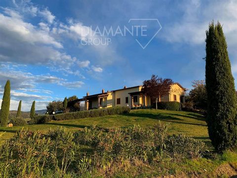 Castel del Piano (GR), Montenero: Farm with 6 hectares of land, cellar and farmhouse of approx. 400 sqm composed as follows: - 2 hectares approx. of olive grove in production; - 6304 sqm of Sangiovese quality vineyard registered as DOCG of Montecucco...