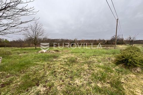 For sale is the last building plot in the series, with a regular shape that offers privacy, located only 2 km from Žminj (Šoštari). The area is 750 m2. The infrastructure is right next to the land. Properly shaped and cleaned. Neat accessible road an...