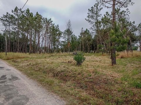 Land with 1240 m2, located in Cova da Serpe, in a quiet area, close to the forest. This rustic land, with 20 meters of frontage, is in an area classified as Mixed Spaces for Forestry Use with Agricultural Aptitude. Just 2 minutes from the access to t...