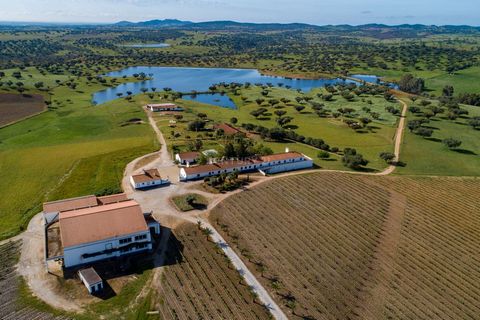 Domaine de 190 hectares, situé à 15 km de Monsaraz, avec accès direct à la route régionale de Cabeça de Carneiro et São Pedro do Corval. Domaine avec capacité de développement direct de 3 activités simultanément : Production viticole, notourisme et é...