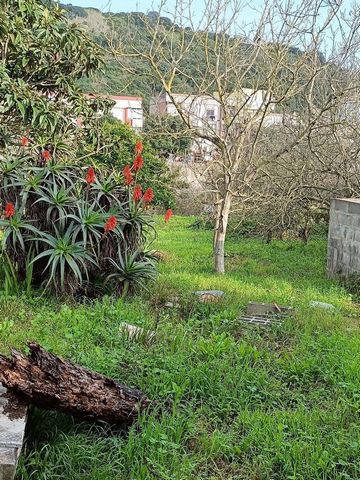 3 plots of land for sale in Apelação, Municipality of Loures, with a total land area of approximately 2850 m2, with a request for prior information already issued by the Municipality of Loures, for construction. Located in a consolidated housing area...