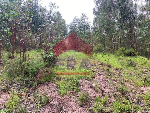 Land with 2280m2, located in Casal Torneiro, approximately 10 minutes from Bombarral and access to the highway. *The information provided is for informational purposes only, non-binding, and does not require consultation with the mediator.* : #ref:13...