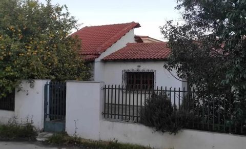 For Sale: Detached House in Porto Rafti, Markopoulo Property Description: Type: Detached House Size: 100 sq.m. Land Plot: 220 sq.m. Construction: Year 1998, renovated Rooms: 3 bedrooms, Bathroom, Kitchen, Living room Facilities: Autonomous heating bo...
