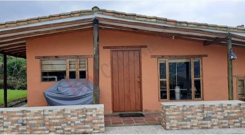 BEAUTIFUL COUNTRY HOUSE located on half a plot of land, at an altitude of two thousand eight hundred meters, in the village of Rio Frio Oriental. Rosemary and laurel crops in production. The house has two full bathrooms and three bedrooms that can ac...