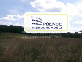 Północ Nieruchomości offers for sale agricultural land of class III - VI, marked in the classification of land use as: R (arable land) - 38 ha, Ps (permanent pastures) - 17 ha, Ł (permanent meadows) - 18 ha and Wsr (land under ponds) - located in the...