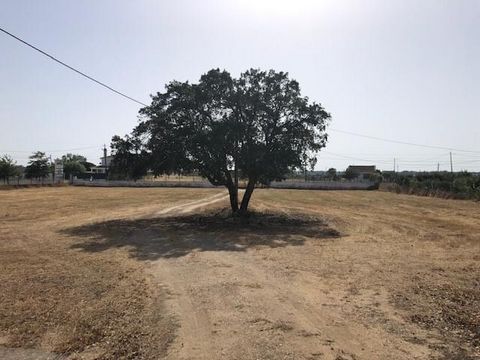 Land for construction, with 11 400 sqm, located in Lagoa da Palha, in the municipality of Pinhal Novo. The land is composed by three plots (3 800 sqm each) and provides the following infrastructures: water, light and sewage. One of the items includes...