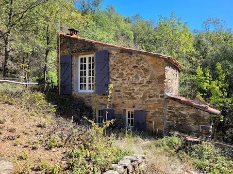 Ein Immobilienkomplex, der Folgendes umfasst: Hat. Ein Casot für den Wohnbereich, einschließlich: - im Erdgeschoss: ein Wohnzimmer von ca. 16,5 m2 mit primitiver Küche und Holzofen; - Obergeschoss: Schlafzimmer; - ein kleines Nebengebäude; - ein Schw...