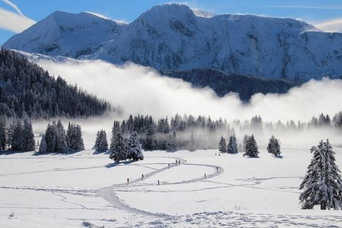 Dit gezellige appartement van 35 mÂ² is gelegen in een rustige residentie in Chamrousse 1650 (Le Recoin) en biedt een rustig toevluchtsoord met een balkon op het westen. Het appartement ligt op de 2e verdieping van een gebouw van 5 verdiepingen met e...