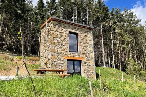 A 1 ora da Clermont-Ferrand e vicino alla A75 delle gole dell'Allier, si trova il villaggio di Langeac... Non lontano dal villaggio, su una piccola collina e ai margini del bosco si trova questo simpatico vigneto ristrutturato casa. Vivrai in questo ...