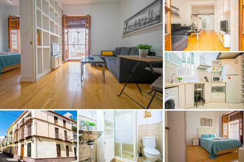 Gran oportunidad de inversión!!! Bonito apartamento con Licencia VUT, muy luminoso, en el centro histórico de Sevilla, cerca de la Basílica de la Macarena. El inmueble dispone de 65m2 construidos con muy buena distribución. El salón-Comedor es de pas...