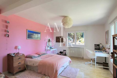 photo no. 12