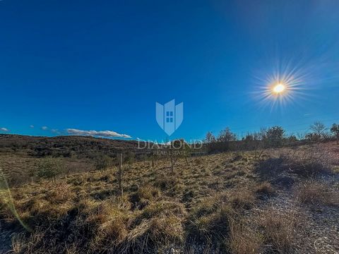 Location: Istarska županija, Buje, Momjan. Buje, surroundings A beautiful building plot of 601 m2 is for sale in the vicinity of Buje. The plot is of regular shape, flat surface with an access road and planted olive trees. The plot is ideal for build...