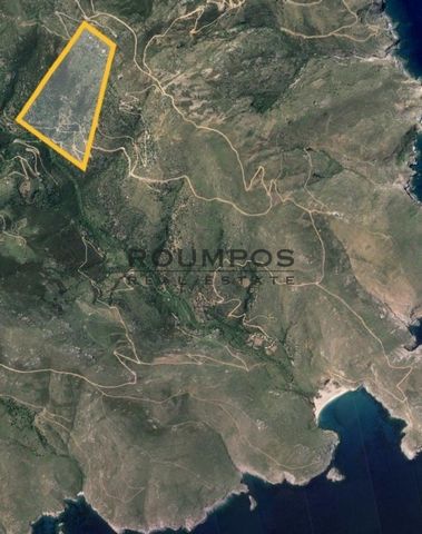 Andros Chora, Agricultural Land For Sale, 110.000 sq.m., View: Sea view, Features: For Investment, Amphitheatrical, Sloping, For tourist use, For development, Distance from: Seaside (m): 1500, Price: 350.000€. Roumpos Real Estate, Tel: ... , email: ....