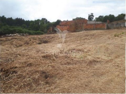 Terreno rústico com a área de 3.200 m2.  O terreno possui construções com uma área coberta de 500 m2 que se destinavam à criação/exploração de gado, atualmente em ruinas e que não se encontram legalizadas.  Dispõe de um poço e de um tanque, sendo o t...