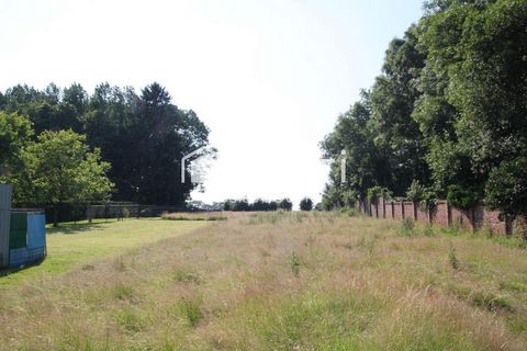 photo no. 1