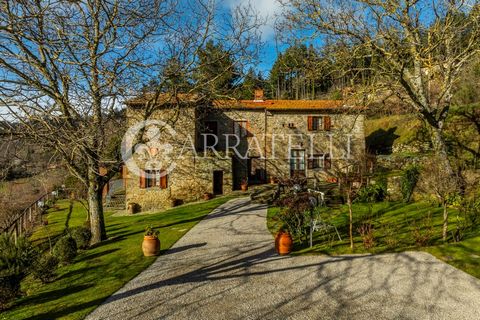 Panoramic farmhouse of about 250 square meters with annex of 190 square meters and land in Cortona. Description: The farmhouse of ancient foundation is located on the slope of the hill about 10 minutes from Cortona in a mountainous area overlooking L...